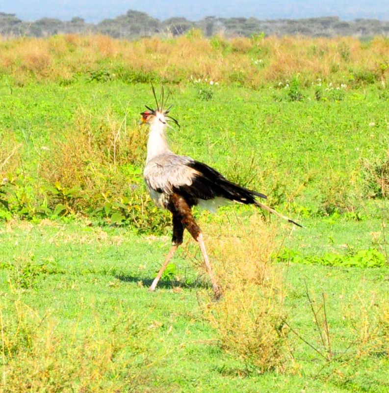 Melanie Heinrich Travel Images Africa